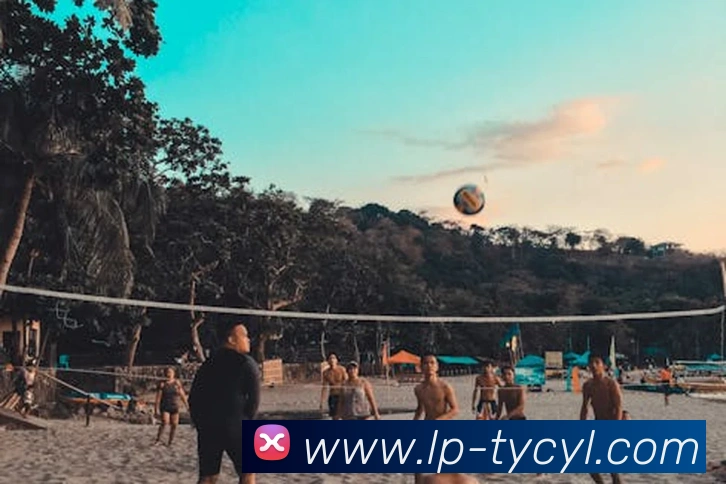 多媒体互动体验